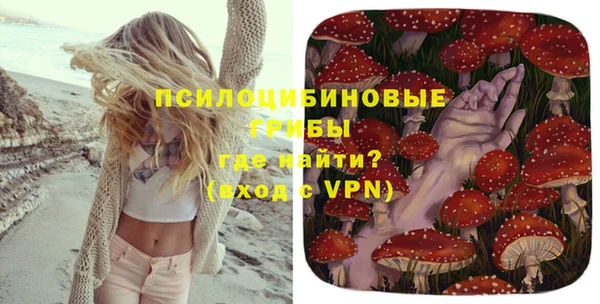 спайс Надым