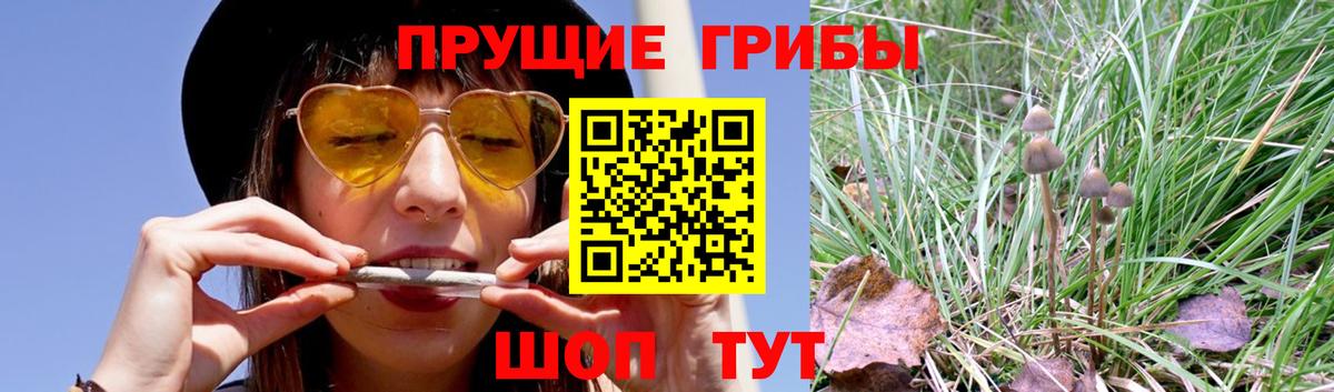 Галлюциногенные грибы Psilocybine cubensis  Галлюциногенные грибы ЛСД  Вход с VPN  Кинешма 